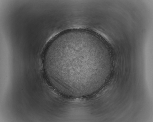 X0000112031160200908171445