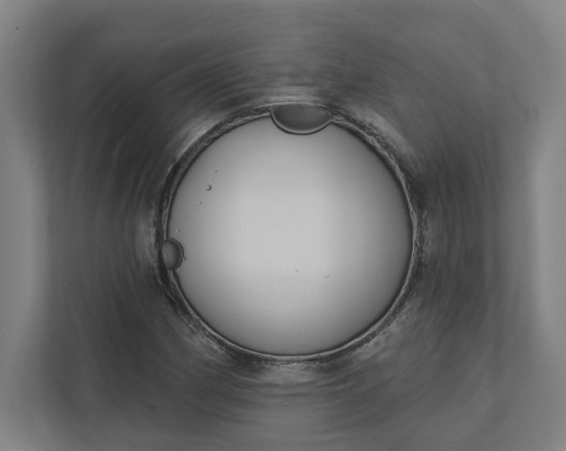 X0000112031162200908171445