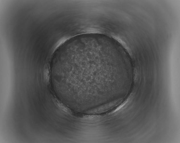 X0000112031163200908171445