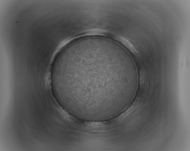 X0000112031164200908171445