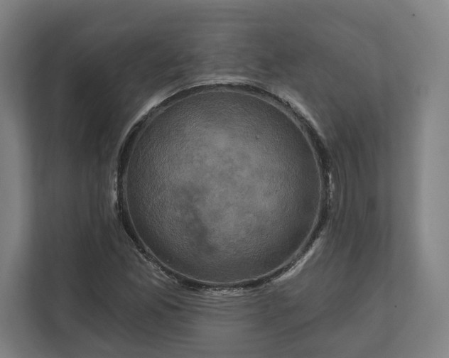 X0000112031165200908171445