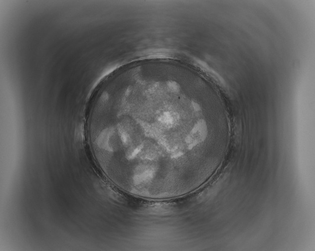 X0000112031166200908171445