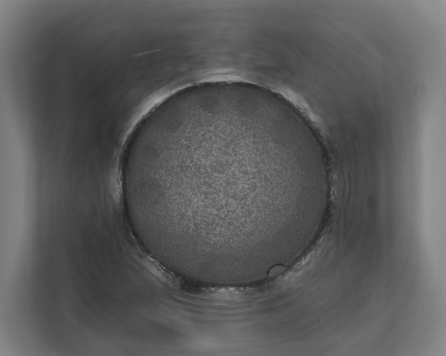 X0000112031167200908171445
