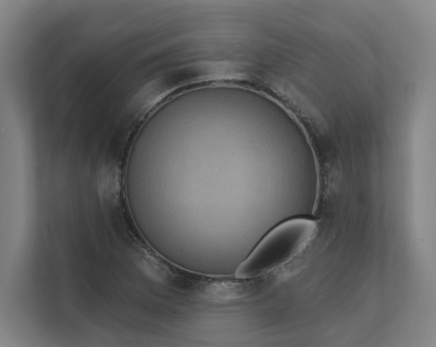 X0000112031169200908171445