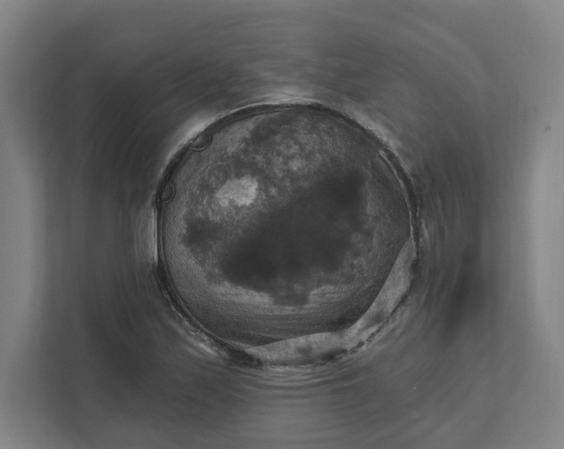X0000112031171200908171445