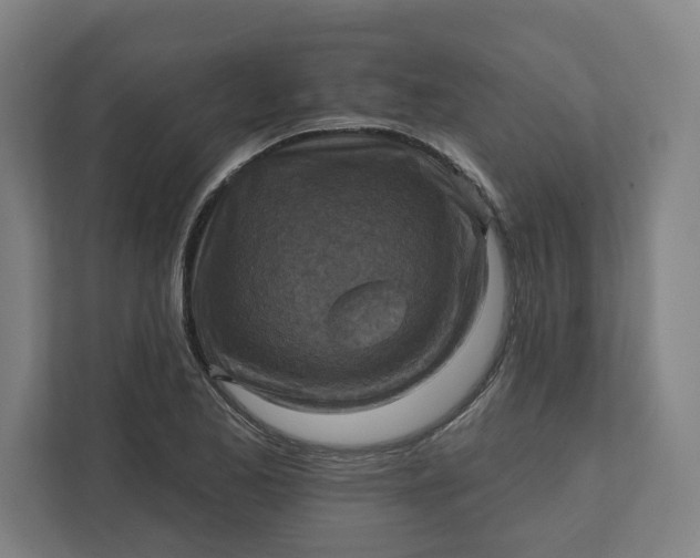 X0000112031173200908171445
