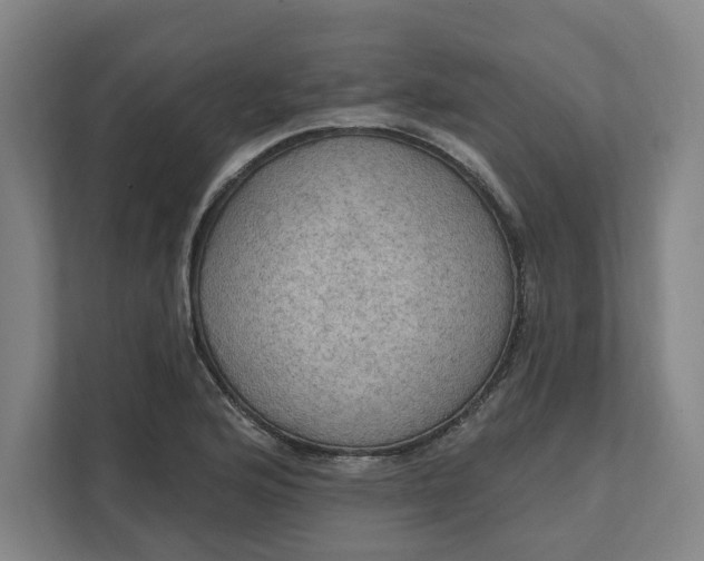 X0000112031176200908171445