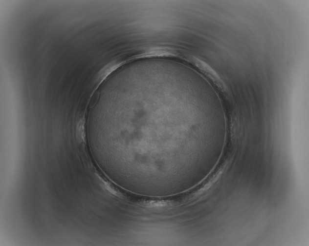 X0000112031177200908171445