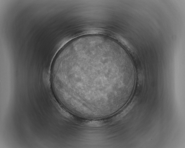 X0000112031178200908171445