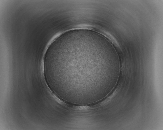 X0000112031180200908171445
