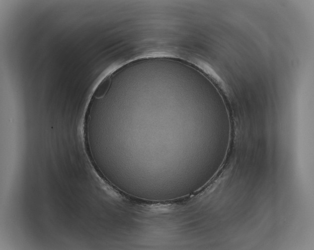 X0000112031181200908171445