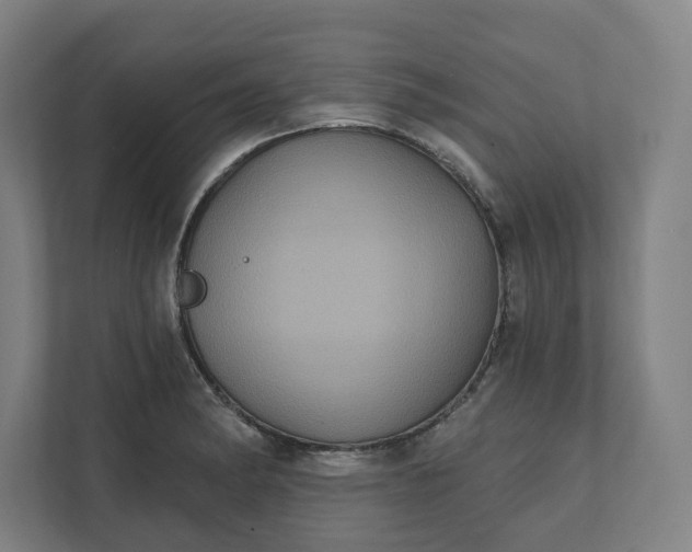 X0000112031182200908171445