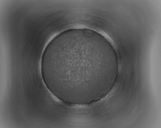 X0000112031183200908171445