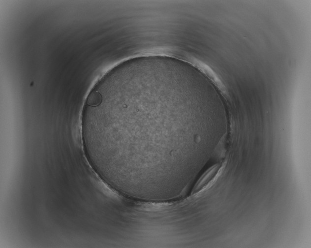 X0000112031184200908171445