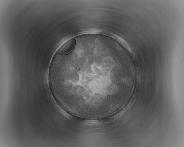 X0000112031186200908171445