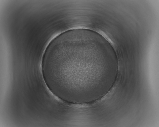 X0000112031189200908171445