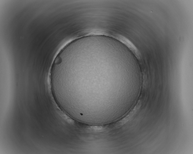 X0000112031190200908171445