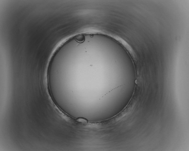 X0000112031191200908171445