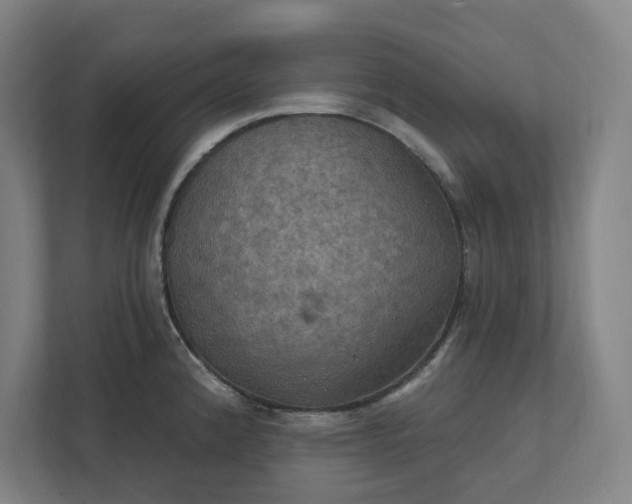X0000112031192200908171445