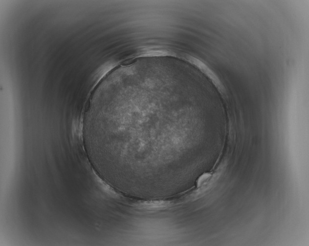 X0000112031193200908171445