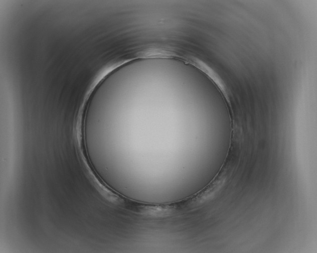X0000112031195200908171445