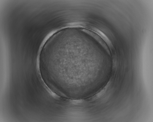 X0000112031196200908171445