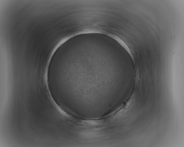 X0000112031197200908171445