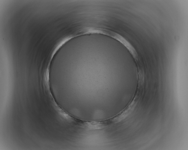 X0000112031198200908171445