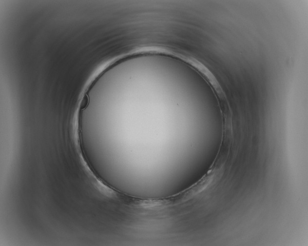 X0000112031199200908171445