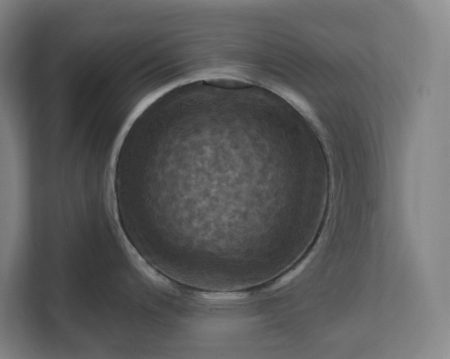 X0000112031200200908171445