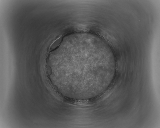X0000112031201200908171444