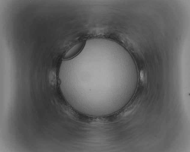 X0000112031203200908171444