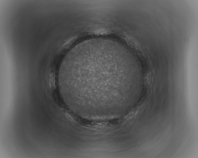 X0000112031205200908171444