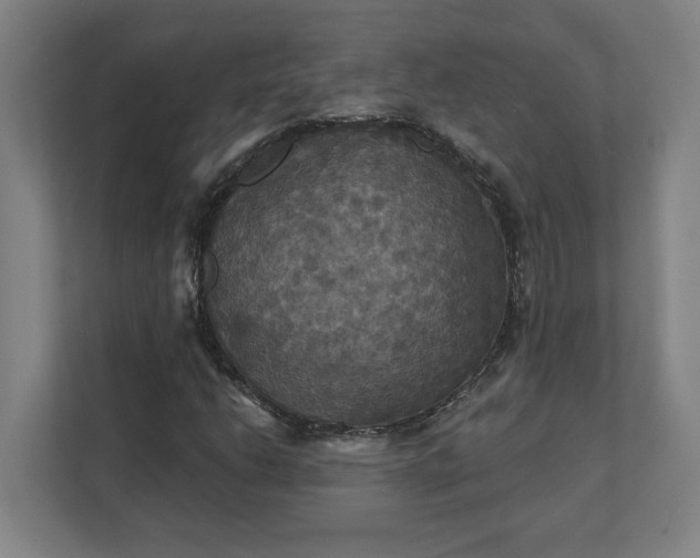 X0000112031206200908171444