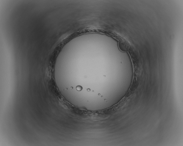 X0000112031207200908171444