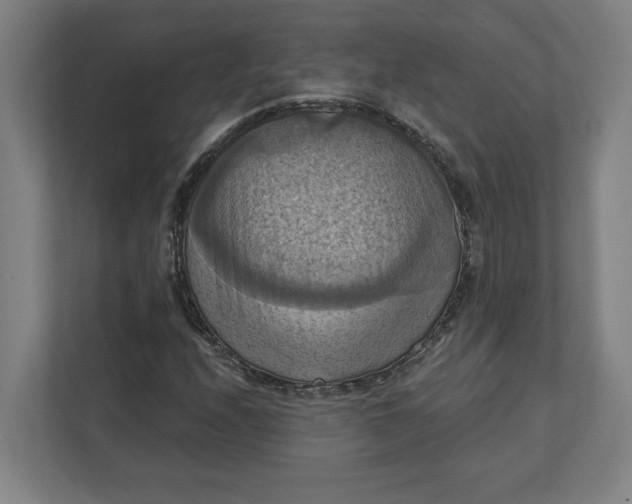 X0000112031208200908171444