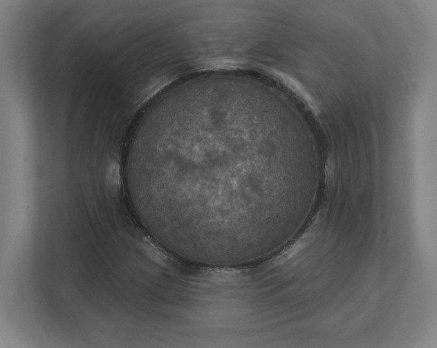 X0000112031209200908171444