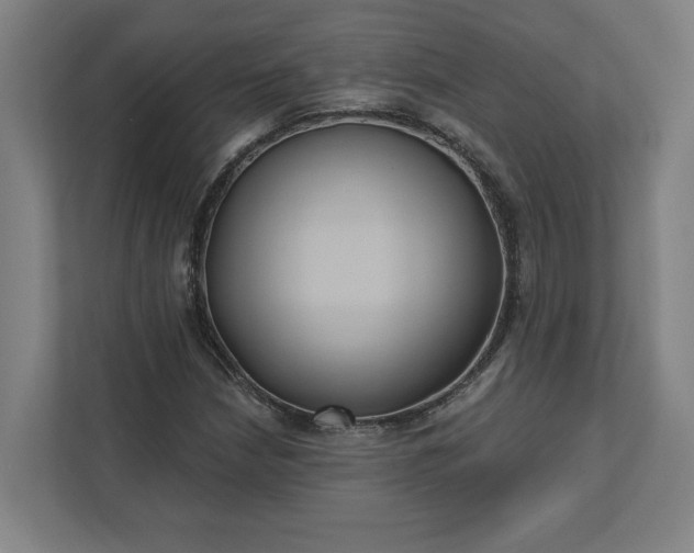 X0000112031210200908171444