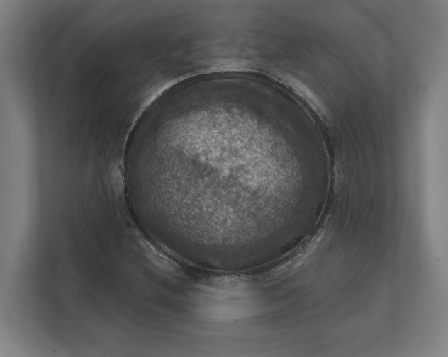 X0000112031212200908171444