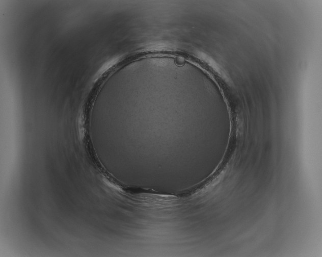 X0000112031213200908171444