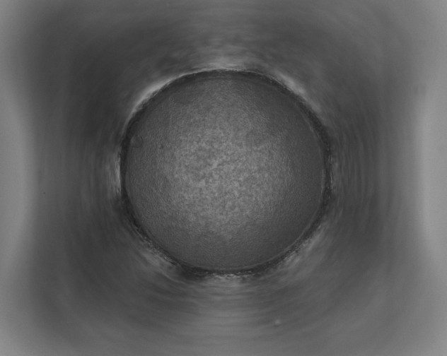 X0000112031214200908171444