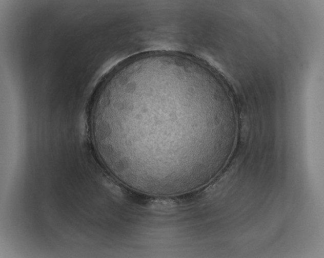 X0000112031215200908171444