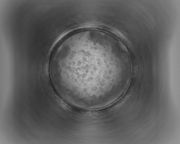 X0000112031216200908171444
