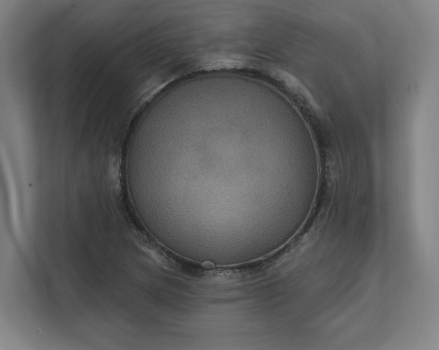 X0000112031217200908171444