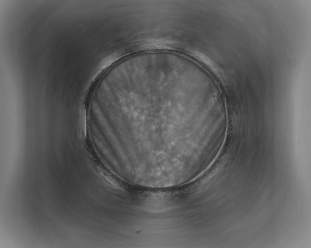 X0000112031219200908171444
