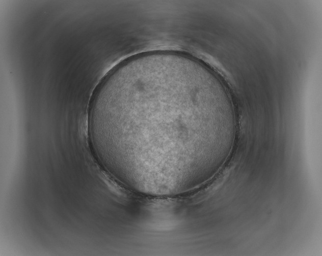 X0000112031220200908171444