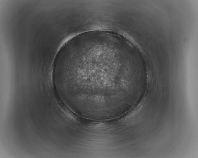 X0000112031222200908171444