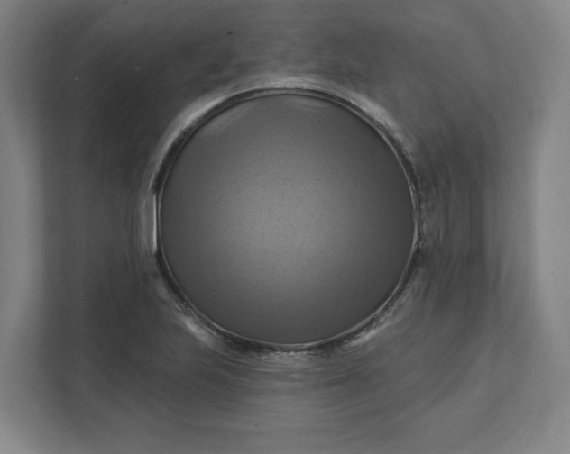 X0000112031223200908171444