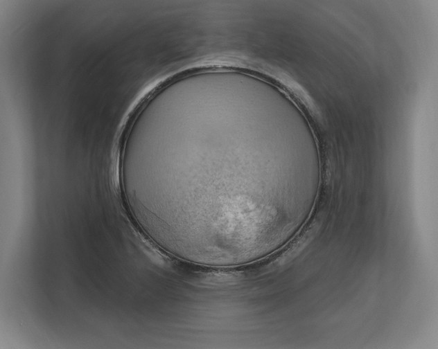 X0000112031224200908171444