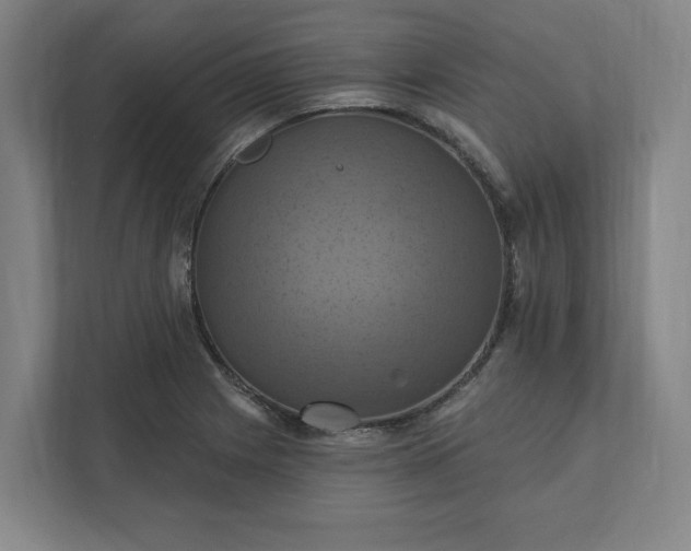 X0000112031225200908171444